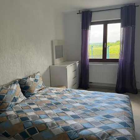 Venez Au Coeur De La Route Des Vins Et Des Marches De Noel شقة