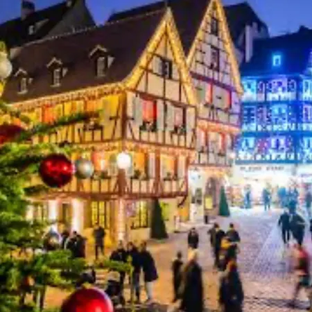 Venez Au Coeur De La Route Des Vins Et Des Marches De Noel * بيبلينهايم