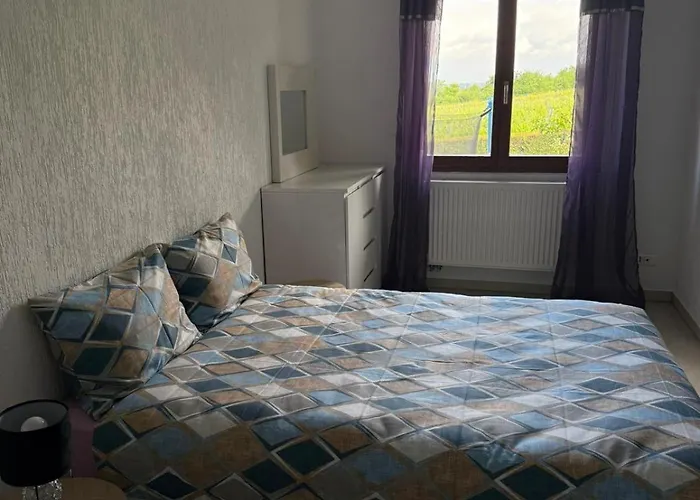 Apartment Venez Au Coeur De La Route Des Vins Et Des Marches De Noel Beblenheim